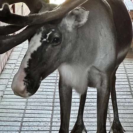 Outapailakka K19 Apartman Saariselka