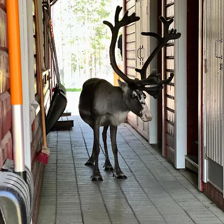 Outapailakka K19 Apartamento *